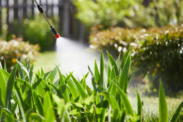Tamper-Resistant Bait Stations for Rodents in Wescosville