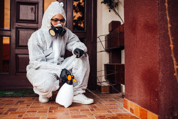 Attic and Crawl Space Rodent Treatment in Wescosville
