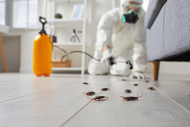 Commercial Rodent Management in Wescosville